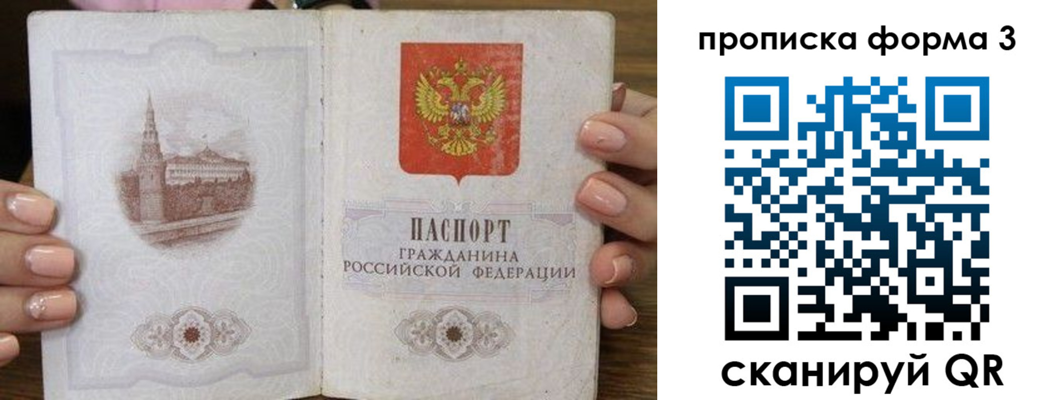 прописка поиск в Щёкино